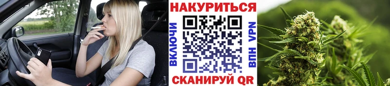 Конопля сатива  Липецк 